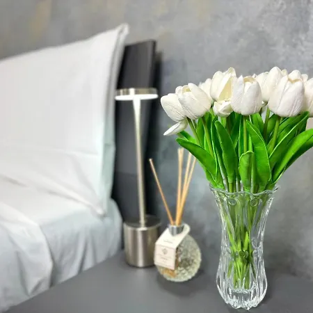 Evelyne - Centro Storico A Due Passi - Apartmán Boloňa
