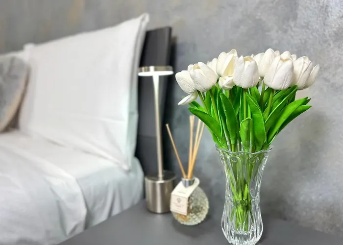 Evelyne - Centro Storico A Due Passi - Apartment Bologna